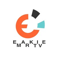 Emarktive logo - Similar company to Speetii
