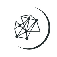 Intropect AI logo - Similar company to Nextsource.Io