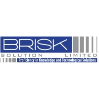 Brisk Solution Company Ltd logo - Similar company to Liper Dev Company