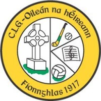 Erin's Isle CLG logo - Similar company to Copenhagen Dance Space