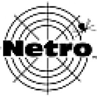 Netro logo - Similar company to Coderie