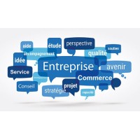 Bon Plan Entrepreneuriat Emploi - BPE logo - Similar company to Sm2I