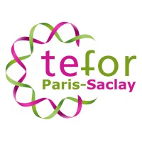 TEFOR Paris-Saclay logo - Similar company to Tefor Exportaciones
