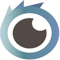 Visual-Eyes (SOTH Inc) logo - Similar company to Solution Ms Technology Inc.