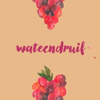 wateendruif logo - Similar company to Content By Simone