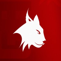Liga Sport logo - Similar company to Saasity