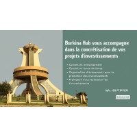 BURKINA HUB logo - Similar company to Denham And Grey