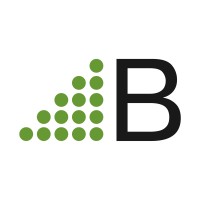 Broch Consulting logo - Similar company to Broch Llc