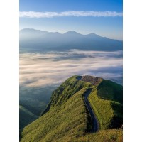 Pittmain Addiction/adhd Therapy logo - Similar company to Uab Department Of Occupational Therapy