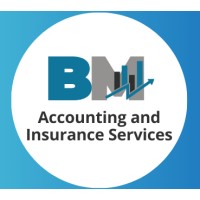 BM ACCOUNTING AND INSURANCE SERVICES logo - Similar company to Sunlight General Trading Llc