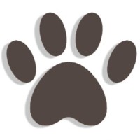 Big Dog Songs logo - Similar company to Sheep Jam Productions