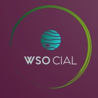 wsocial media logo - Similar company to Hyperlive.Tv
