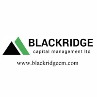 Blackridge Capital Management LTD logo - Similar company to Blackridge Capital
