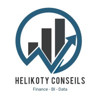 Helikoty Consulting logo - Similar company to Womum