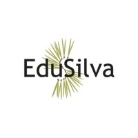 EduSilva logo - Similar company to Eu Studyassist