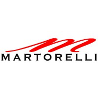 MARTORELLI S.p.A. logo - Similar company to Axxon