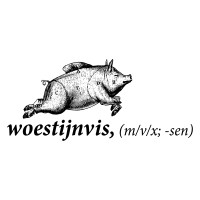 Woestijnvis logo - Similar company to Motionmakers #BusinessVideo