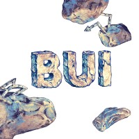 Stichting BUI logo - Similar company to Humble Recruitment