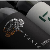 Bodegas Pinea del Duero SL logo - Similar company to Bravo Equity Partners