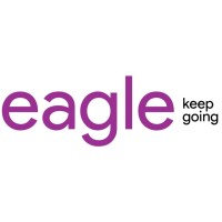 Eagle Information Systems Pvt. Ltd. logo - Similar company to Ip Solutions Technologies