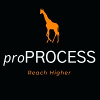 proProcess, LLC logo - Similar company to Proprocess-Unipessoal Lda