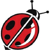 Damir logo - Similar company to Diecimedia