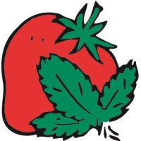 Van den Wijngaart BV logo - Similar company to Wa Customs