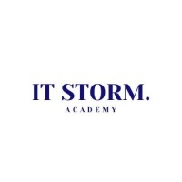 IT Storm Academy logo - Similar company to Team Time