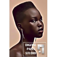 Digital Paint Studio logo - Similar company to Campus Maya Primary School
