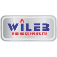 Wileb Mining Supplies Ltd logo - Similar company to Mining Supplies Consortium