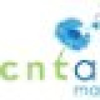 CNT Associates logo - Similar company to Looking Forward Art Projects