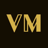 Vinet Media logo - Similar company to Iroscale