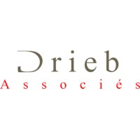 Drieb & Associés (cabinet d'expertise comptable et commissariat aux comptes) logo - Similar company to Eag - Cabinet D'Expertise Comptable | Experts Advisory