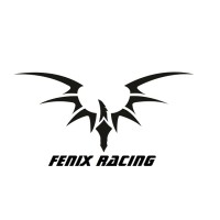 Fenix Racing logo - Similar company to Team Corally