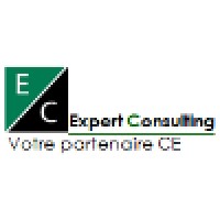 Expert Consulting logo - Similar company to 善林（上海）金融信息服务有限公司