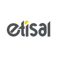Etisal logo - Similar company to Alsafy Group