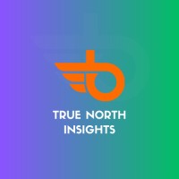 True North Insights logo - Similar company to Institutional Knowledge