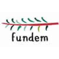FUNDEM logo - Similar company to Aspa Consulting