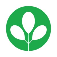 Moringa logo - Similar company to New Vision Groups