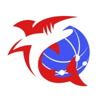 Internet Shark logo - Similar company to Galaxy Telecom Systems