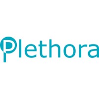 Plethora Design - We create and support sites using Drupal and WordPress. logo - Similar company to Chase Design