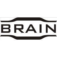 Brain srl logo - Similar company to Tecnoelettra Impianti