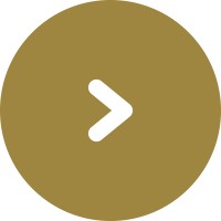 ChytryHonza.cz logo - Similar company to Czech Fund