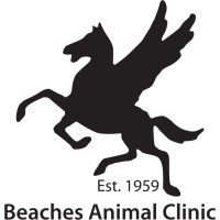 Beaches Animal Hospital