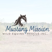 Mustang Mission logo - Similar company to Equestrian R Infinity