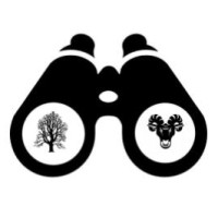 Ram in het bos logo - Similar company to Eco Ram