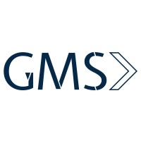 GMS Perspectivas logo - Similar company to Retângulo