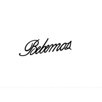 Bebemos Tequila logo - Similar company to We Drink Tequila