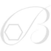 BRAMI SUPERALLIAGES logo - Similar company to Crl Group