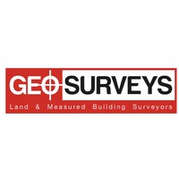 GEOsurveys logo - Similar company to Plot. Surveys Ltd